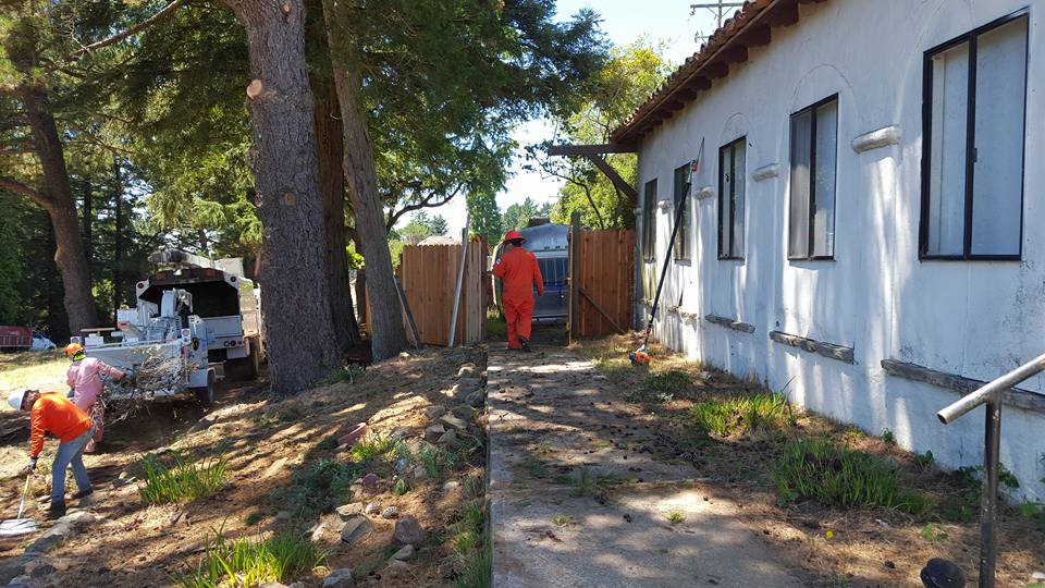 Oakland City Stables workday